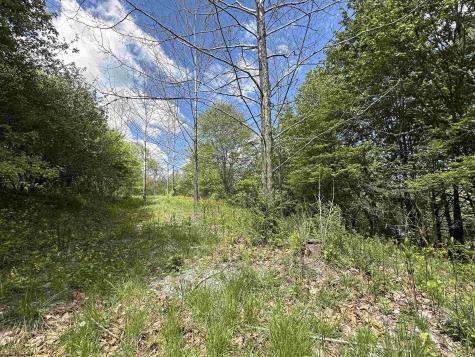 2 Flat Rock Run Dryfork WV 26263