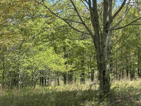 2 Flat Rock Run Dryfork WV 26263