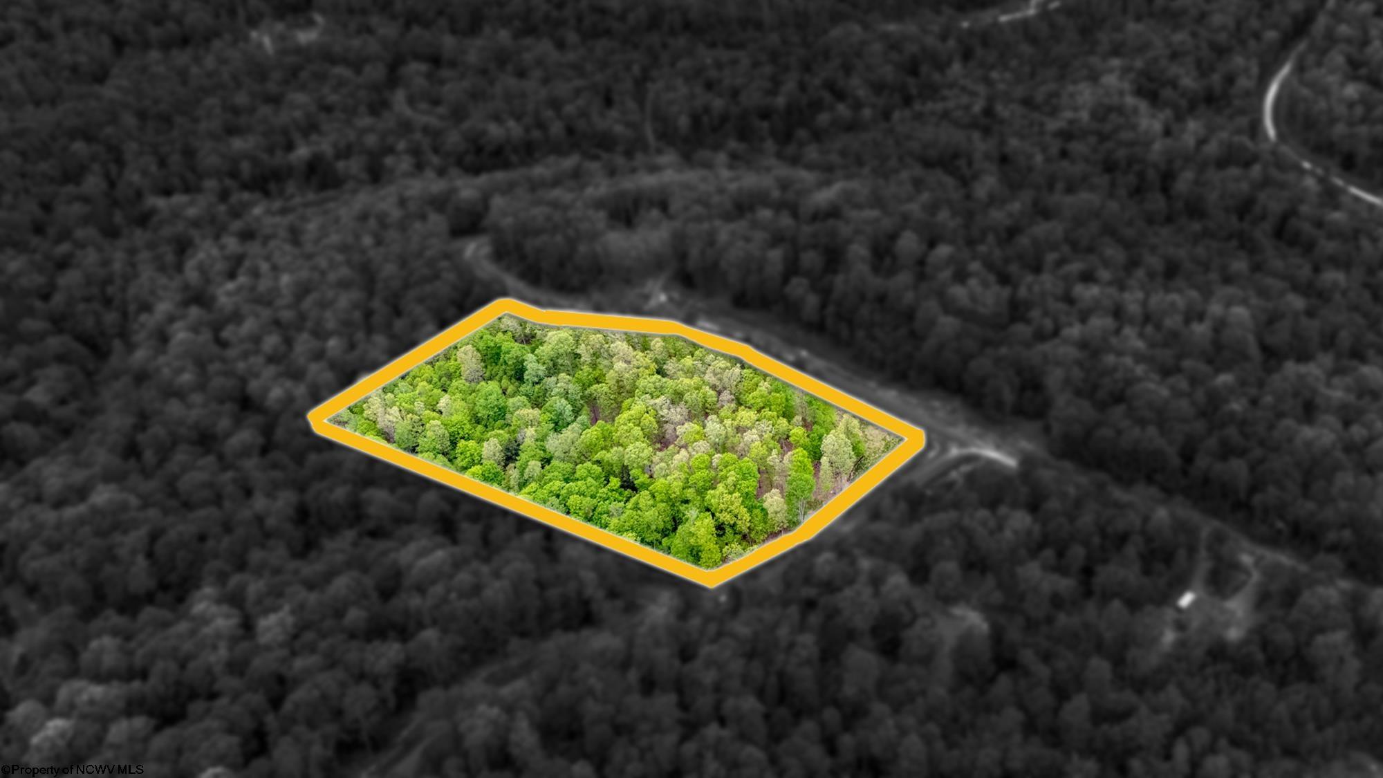 120 Laurel Loop Bruceton Mills WV 26525