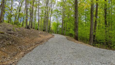 120 Laurel Loop Bruceton Mills WV 26525