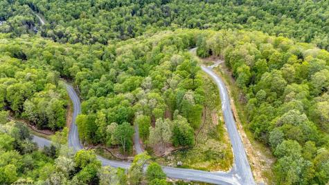 120 Laurel Loop Bruceton Mills WV 26525