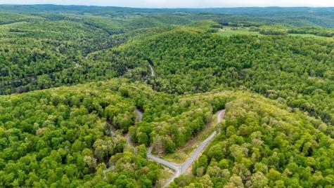 120 Laurel Loop Bruceton Mills WV 26525