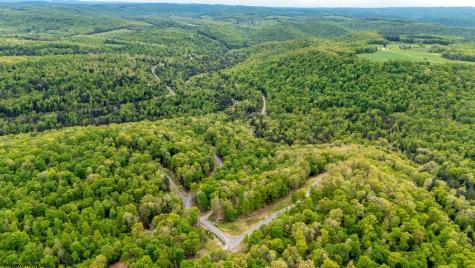 120 Laurel Loop Bruceton Mills WV 26525