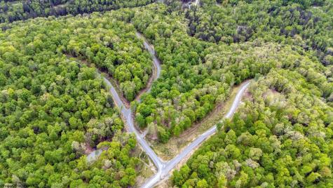 120 Laurel Loop Bruceton Mills WV 26525