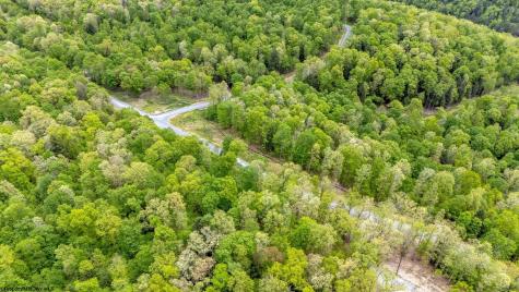 120 Laurel Loop Bruceton Mills WV 26525