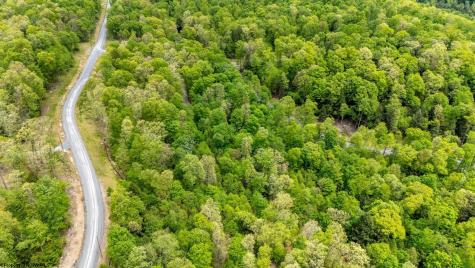 120 Laurel Loop Bruceton Mills WV 26525