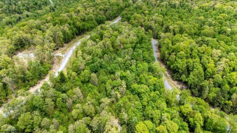 120 Laurel Loop Bruceton Mills WV 26525