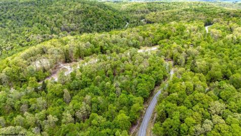 120 Laurel Loop Bruceton Mills WV 26525