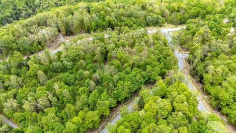 120 Laurel Loop Bruceton Mills WV 26525