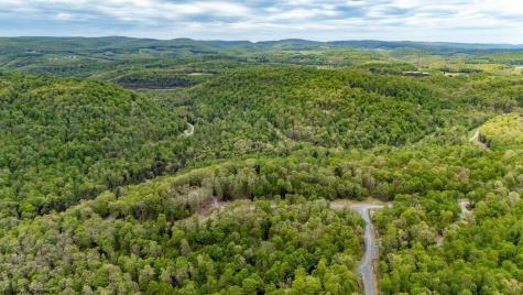 120 Laurel Loop Bruceton Mills WV 26525