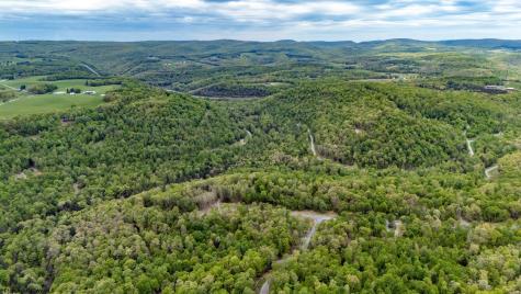 120 Laurel Loop Bruceton Mills WV 26525