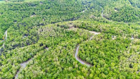 120 Laurel Loop Bruceton Mills WV 26525