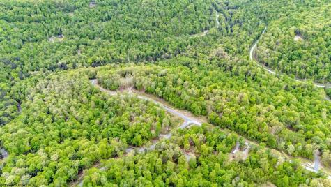 120 Laurel Loop Bruceton Mills WV 26525