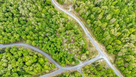 120 Laurel Loop Bruceton Mills WV 26525