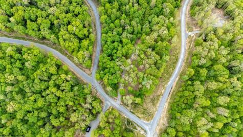 120 Laurel Loop Bruceton Mills WV 26525