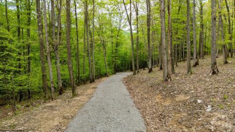 120 Laurel Loop Bruceton Mills WV 26525
