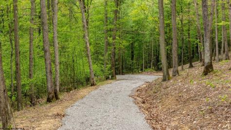 120 Laurel Loop Bruceton Mills WV 26525