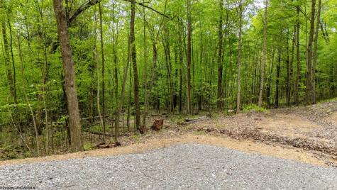120 Laurel Loop Bruceton Mills WV 26525
