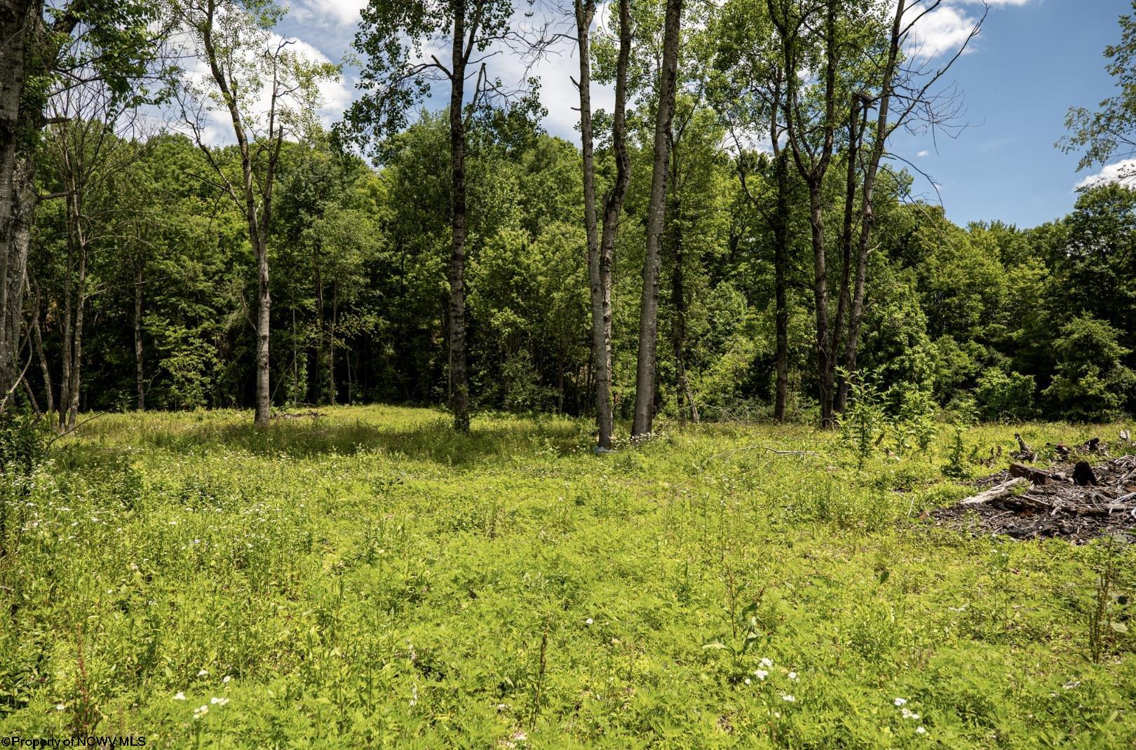 12 Lake Island Drive Belington WV 26250