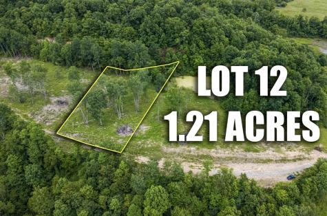 12 Lake Island Drive Belington WV 26250