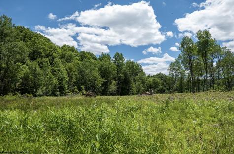 12 Lake Island Drive Belington WV 26250