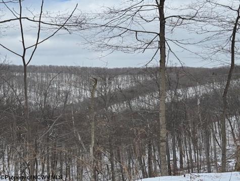 0 Dry Branch Road Clendenin WV 25045