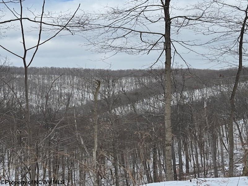 0 Dry Branch Road Clendenin WV 25045