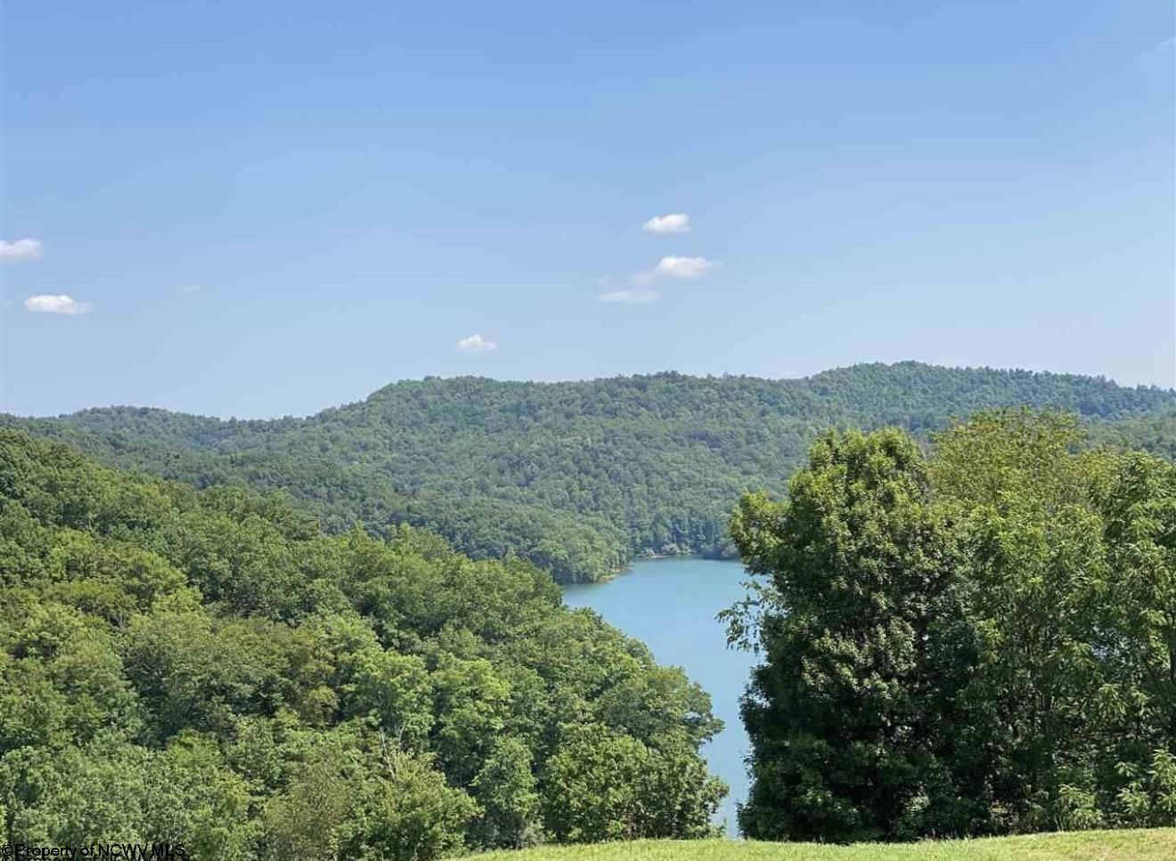1 Lakeview Drive Horner WV 26372