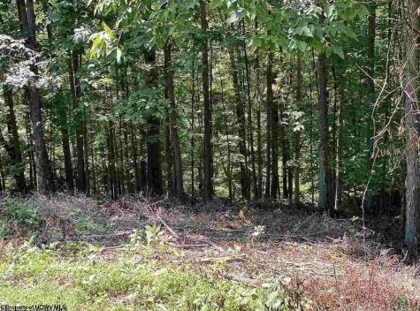 1 Lakeview Drive Horner WV 26372