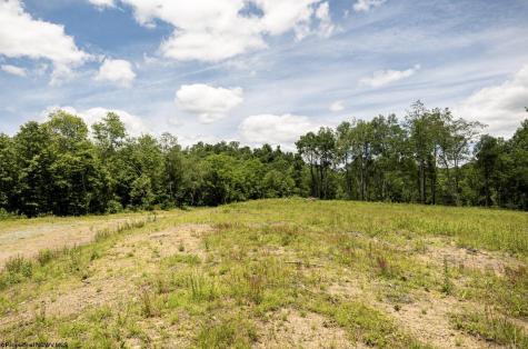 10 Lake Island Drive Belington WV 26250
