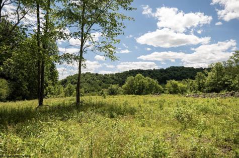 10 Lake Island Drive Belington WV 26250