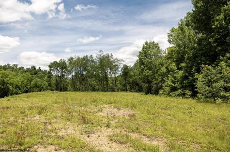 10 Lake Island Drive Belington WV 26250