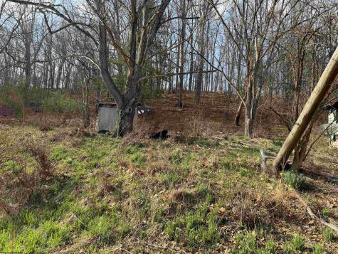 10 Thorne Avenue Elkins WV 26241