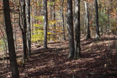 3 Cascade Ridge Masontown WV 26542