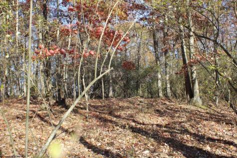 3 Cascade Ridge Masontown WV 26542