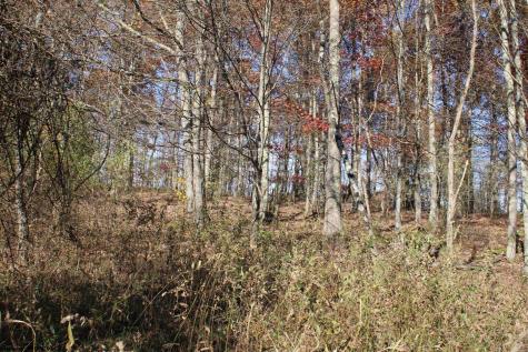 3 Cascade Ridge Masontown WV 26542