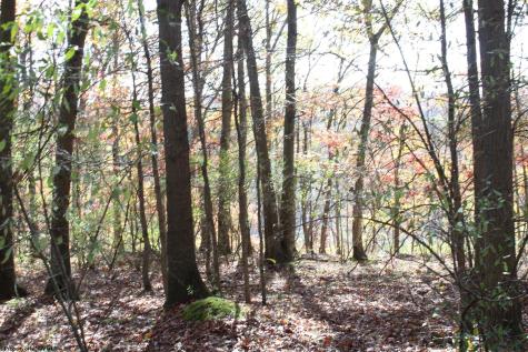 3 Cascade Ridge Masontown WV 26542