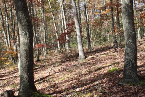 3 Cascade Ridge Masontown WV 26542