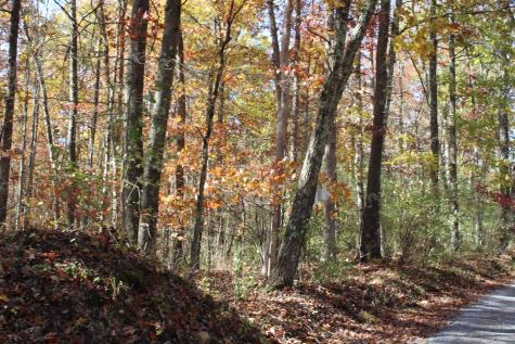3 Cascade Ridge Masontown WV 26542