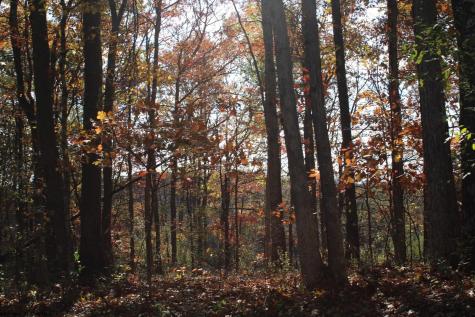 3 Cascade Ridge Masontown WV 26542