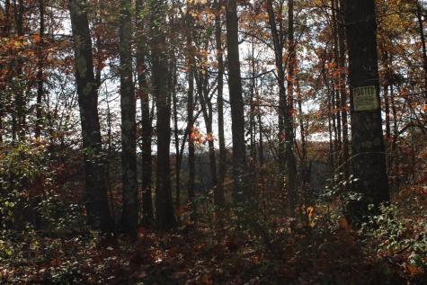 3 Cascade Ridge Masontown WV 26542