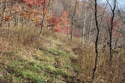 3 Cascade Ridge Masontown WV 26542