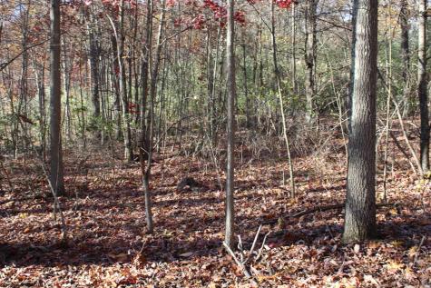 3 Cascade Ridge Masontown WV 26542