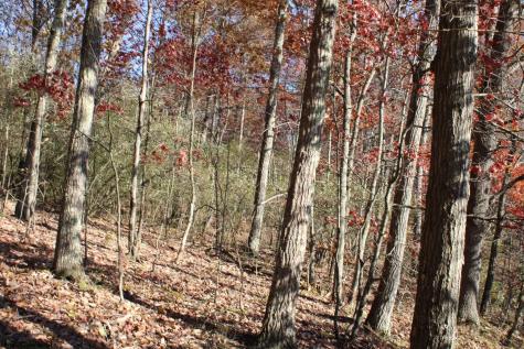 3 Cascade Ridge Masontown WV 26542