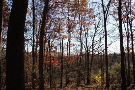 3 Cascade Ridge Masontown WV 26542