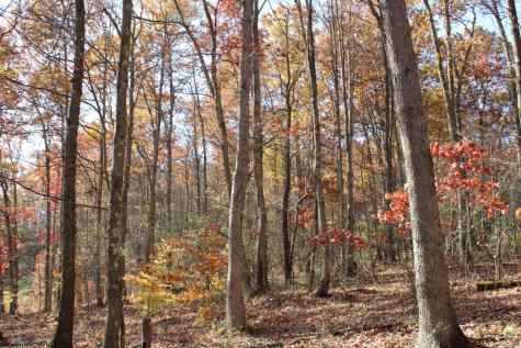 3 Cascade Ridge Masontown WV 26542