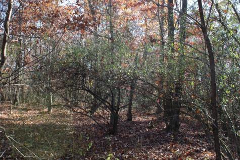 3 Cascade Ridge Masontown WV 26542