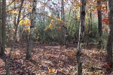 3 Cascade Ridge Masontown WV 26542