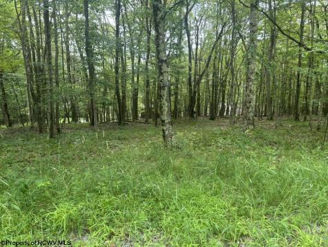 85 Lakeview Drive Terra Alta WV 26764