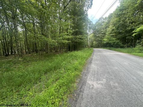 85 Lakeview Drive Terra Alta WV 26764